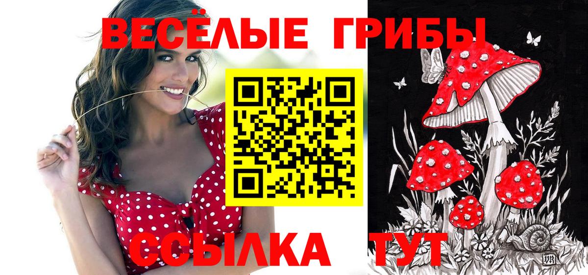 Галлюциногенные грибы прущие грибы Сатка