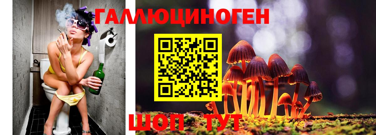 Сатка  Псилоцибиновые грибы прущие грибы  Псилоцибиновые грибы Magic Shrooms  продажа наркотиков  Вход с VPN 